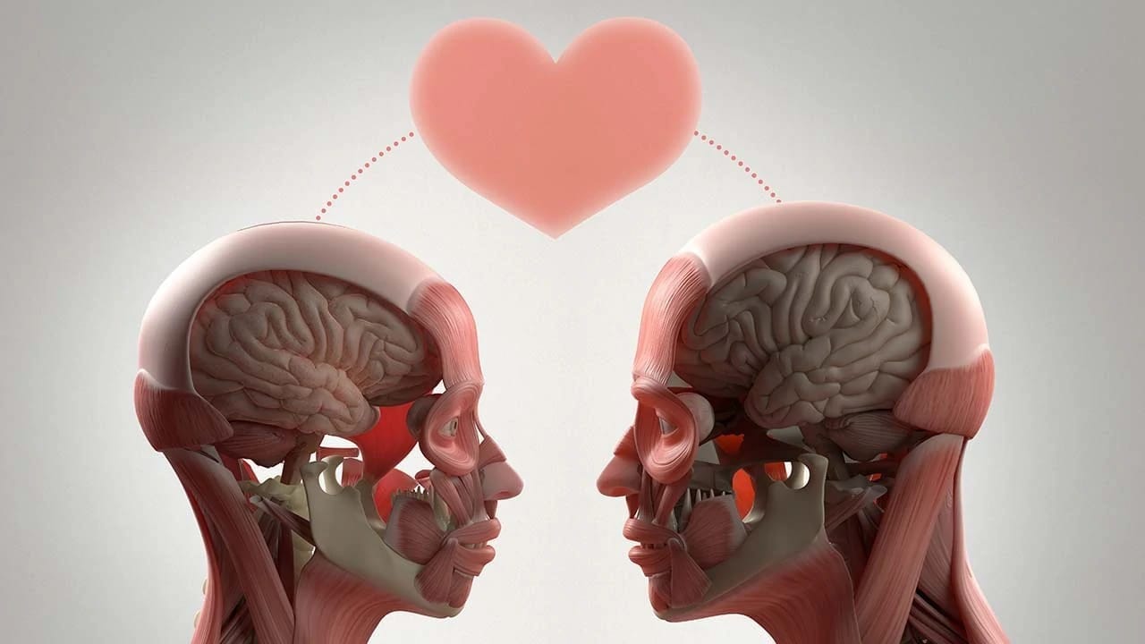 El amor entre el psicoanálisis y la neurociencia