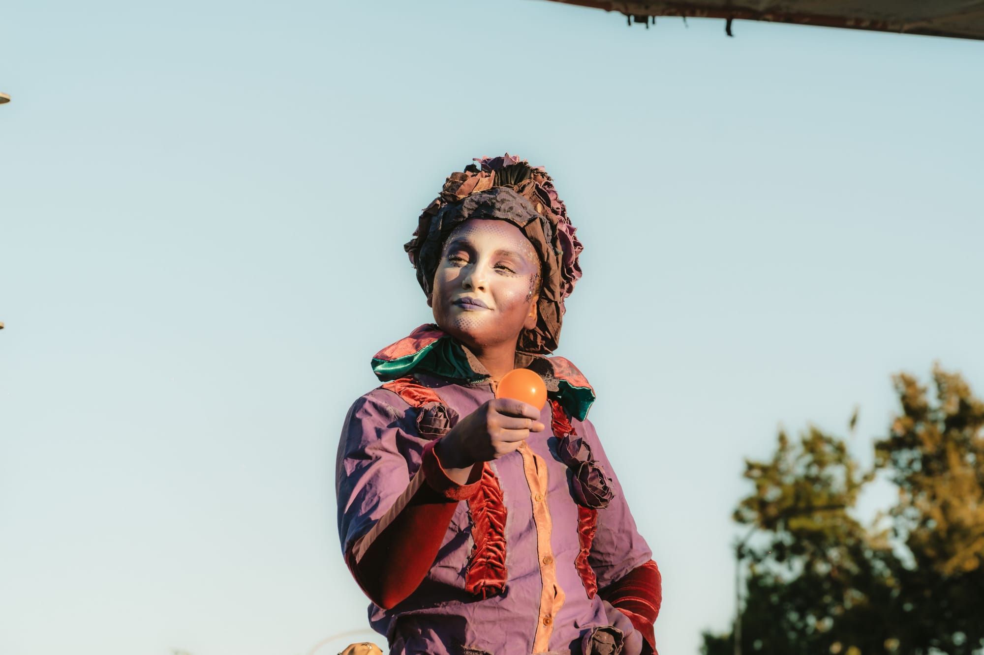 La Vendimia del Mendoza Shopping pasó con mucho color y música