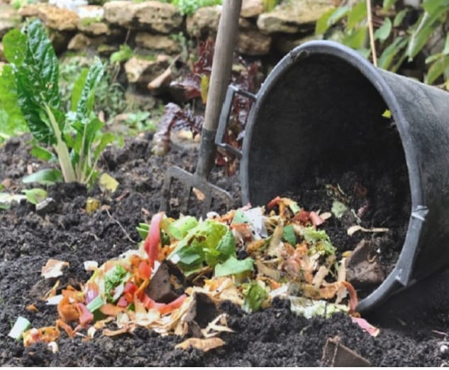 Cómo hacer compost en casa: llega una charla abierta y gratuita