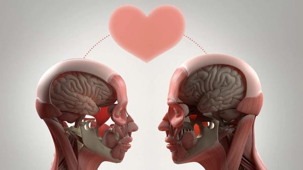 El amor entre el psicoanálisis y la neurociencia