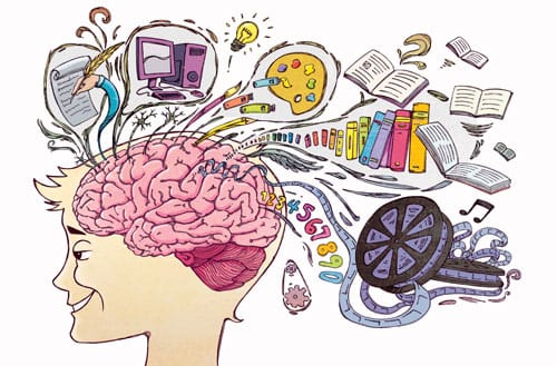 Elegir en tiempos de incertidumbre: una lectura neuropsicológica del acto de decidir en la Argentina