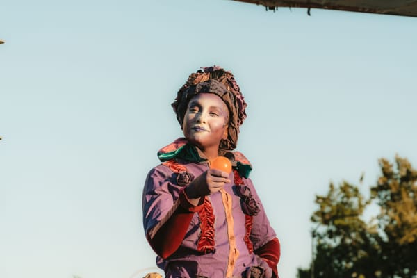 La Vendimia del Mendoza Shopping pasó con mucho color y música